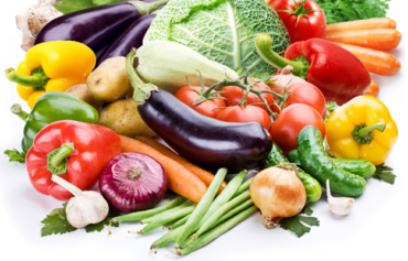 Plant-based Lifestyle Tips for Success