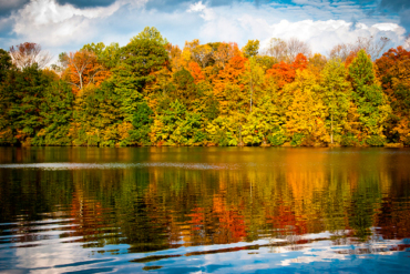 Outdoor Fitness and Fall Foliage