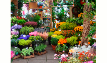 Flower Arranging 101