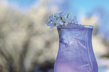 Order Notch’s Lilac & Enjoy, a Draft Cocktail for Summer Sipping