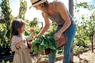 Discover Gardening for the Mind, Body & Spirit