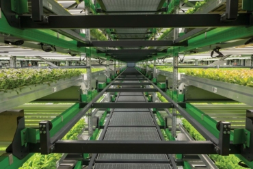Reimagine Farming from the Ground Up with Bowery in Bethlehem
