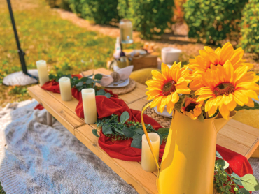 Experience a Luxury Outdoor Picnic this Winter with Picturesque Picnics’ Bubble Tent Launch