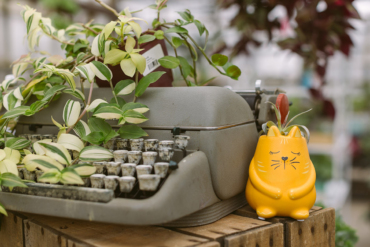 Shop Mosaic Home & Garden in Catasauqua