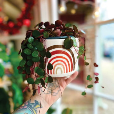 The Curious Plantaholic Opens Second Location in Clinton, NJ