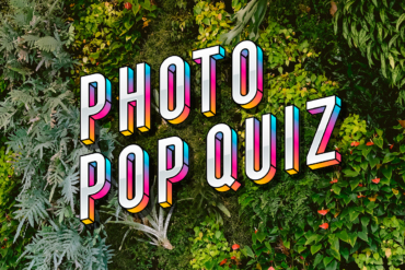 Can You Ace Our Photo Pop Quiz?